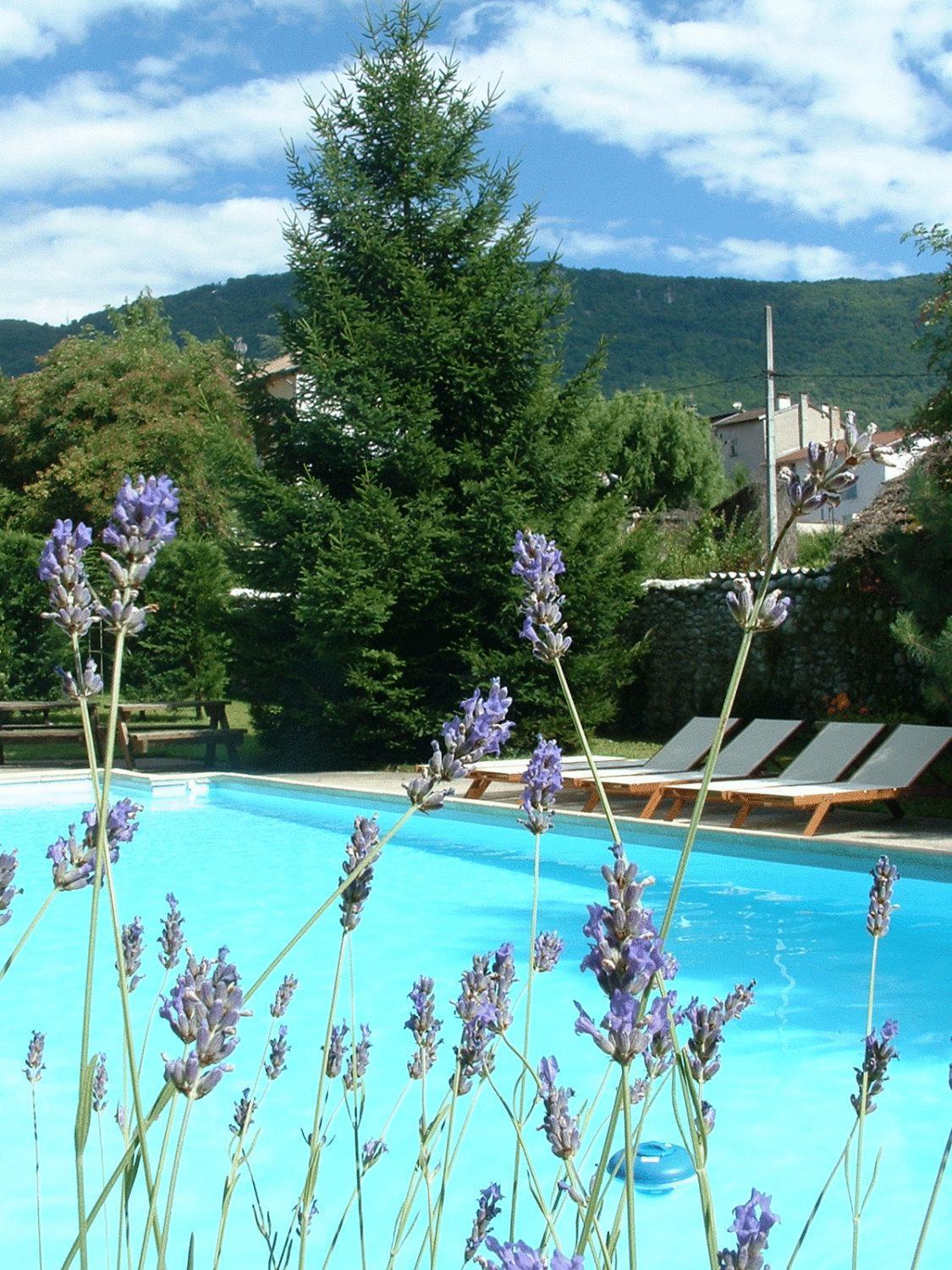 Logis Hotel Restaurant Le Castel Fleuri Сан-Жан-ан-Ройан Екстериор снимка