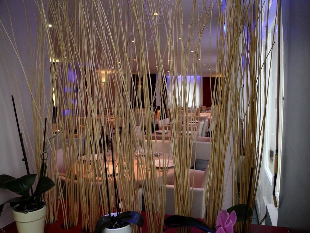 Logis Hotel Restaurant Le Castel Fleuri Сан-Жан-ан-Ройан Екстериор снимка