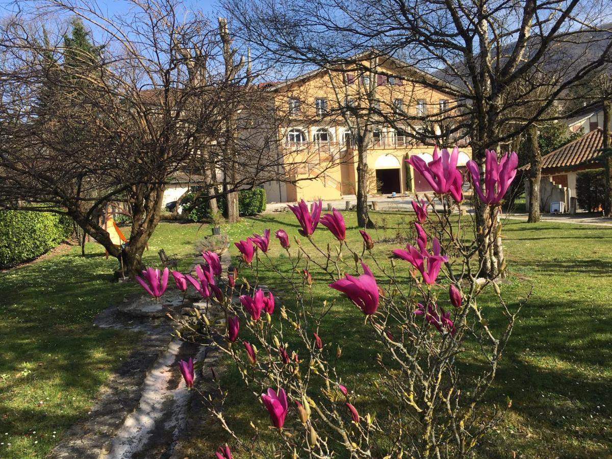 Logis Hotel Restaurant Le Castel Fleuri Сан-Жан-ан-Ройан Екстериор снимка