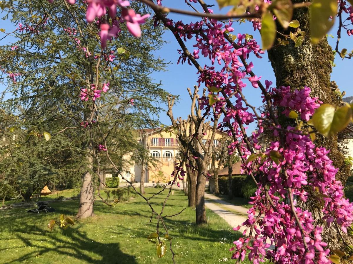 Logis Hotel Restaurant Le Castel Fleuri Сан-Жан-ан-Ройан Екстериор снимка